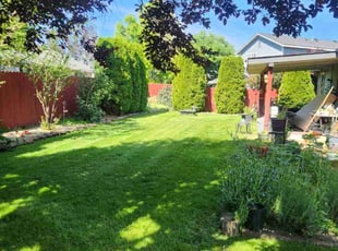 Yolanda U.'s turf care service result