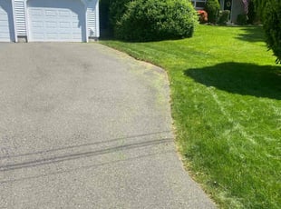Adam A.'s lawn service service result