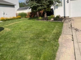 Jennifer T.'s lawn maintenance service result