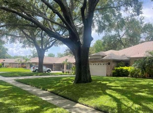 Jasmine M.'s turf maintenance service result