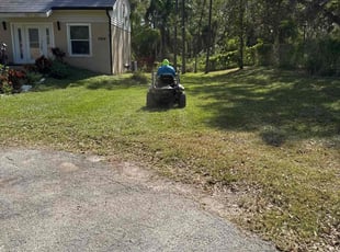 Katrisa L.'s grass cutting service result