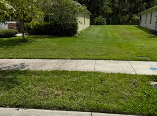 Jeremy J.'s lawn care services service result