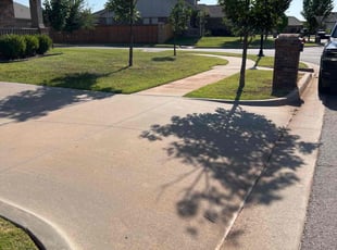 Marcia M.'s lawn care service result