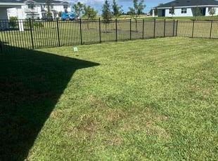 Bagrat B.'s turf maintenance service result