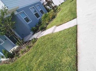 Frank H.'s lawn service service result
