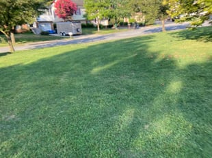 Rhonda M.'s lawn maintenance service result
