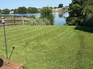 Travis B.'s lawn care service result