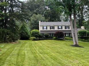 Antonio S.'s lawn service service result