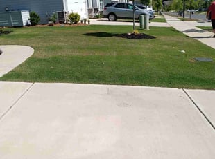 Evert L.'s grass cutting service result