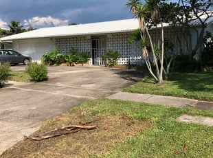 Frankie R.'s Leaf Removal service result