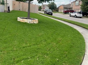 Judith M.'s lawn maintenance service result
