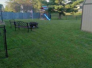 Anand R.'s turf maintenance service result