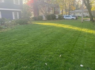 Jessica M.'s lawn service service result