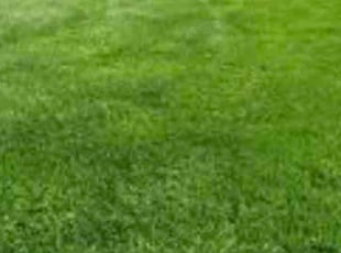 Andre U.'s lawn care services service result