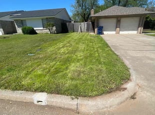 Mann H.'s lawn care service result