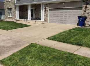 Elisha E.'s lawn maintenance service result