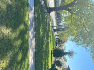 Neka G.'s turf maintenance service result
