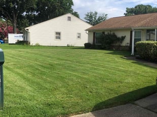 Pamela R.'s lawn service service result
