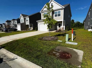 Lisha N.'s lawn care services service result