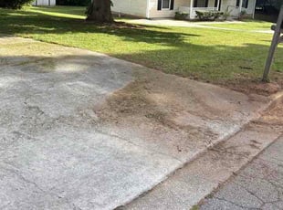 Catherine P.'s lawn maintenance service result