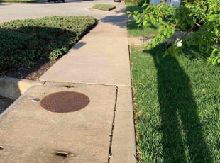 Renee W.'s lawn maintenance service result