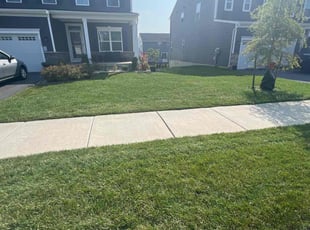 Kali A.'s grass cutting service result