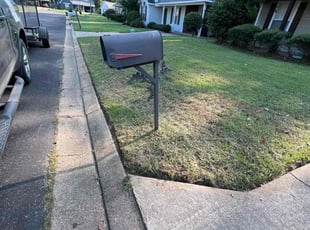 Marilyn J.'s grass cutting service result