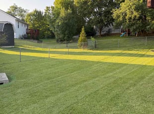 Stacy O.'s lawn maintenance service result