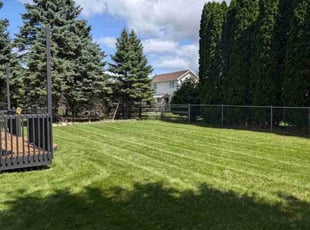 Samuel K.'s lawn care service result