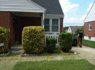 Jessie K.'s Bush Trimming service result