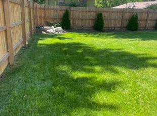 Shelly C.'s turf maintenance service result