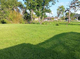 Gerald R.'s turf maintenance service result