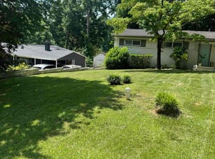 David B.'s turf maintenance service result