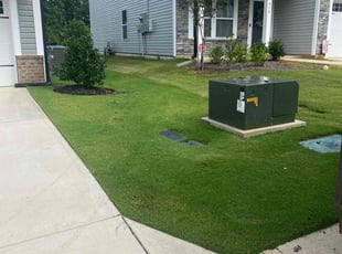 Matt N.'s lawn service service result