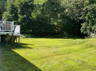Tepsiri H.'s lawn care services service result