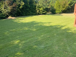 Kurt T.'s lawn care service result