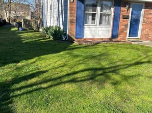 Connie M.'s lawn maintenance service result