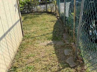 Elizabeth S.'s grass cutting service result