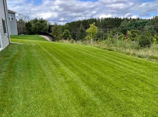 John W.'s lawn service service result
