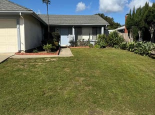 Elena D.'s grass cutting service result