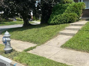 Lewis R.'s lawn care service result