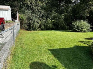 Carmen M.'s grass cutting service result