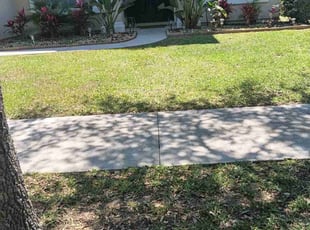 Bhushan C.'s turf care service result