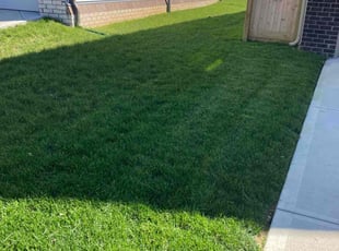 Steven W.'s turf maintenance service result