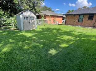 Denise S.'s yard care service result