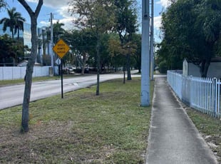 Philip C.'s grass cutting service result