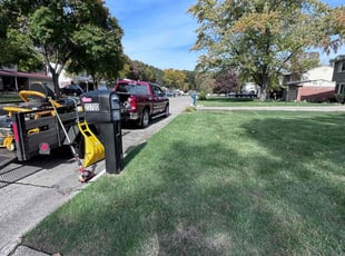 Patti B.'s lawn care service result