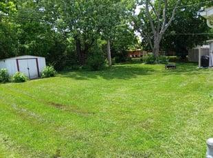 Mark H.'s grass cutting service result