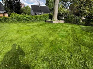 Kassandra R.'s turf care service result