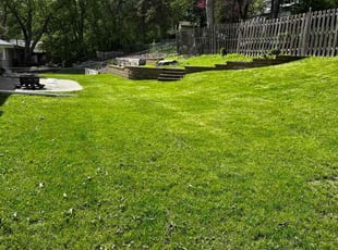 Wendy N.'s grass cutting service result